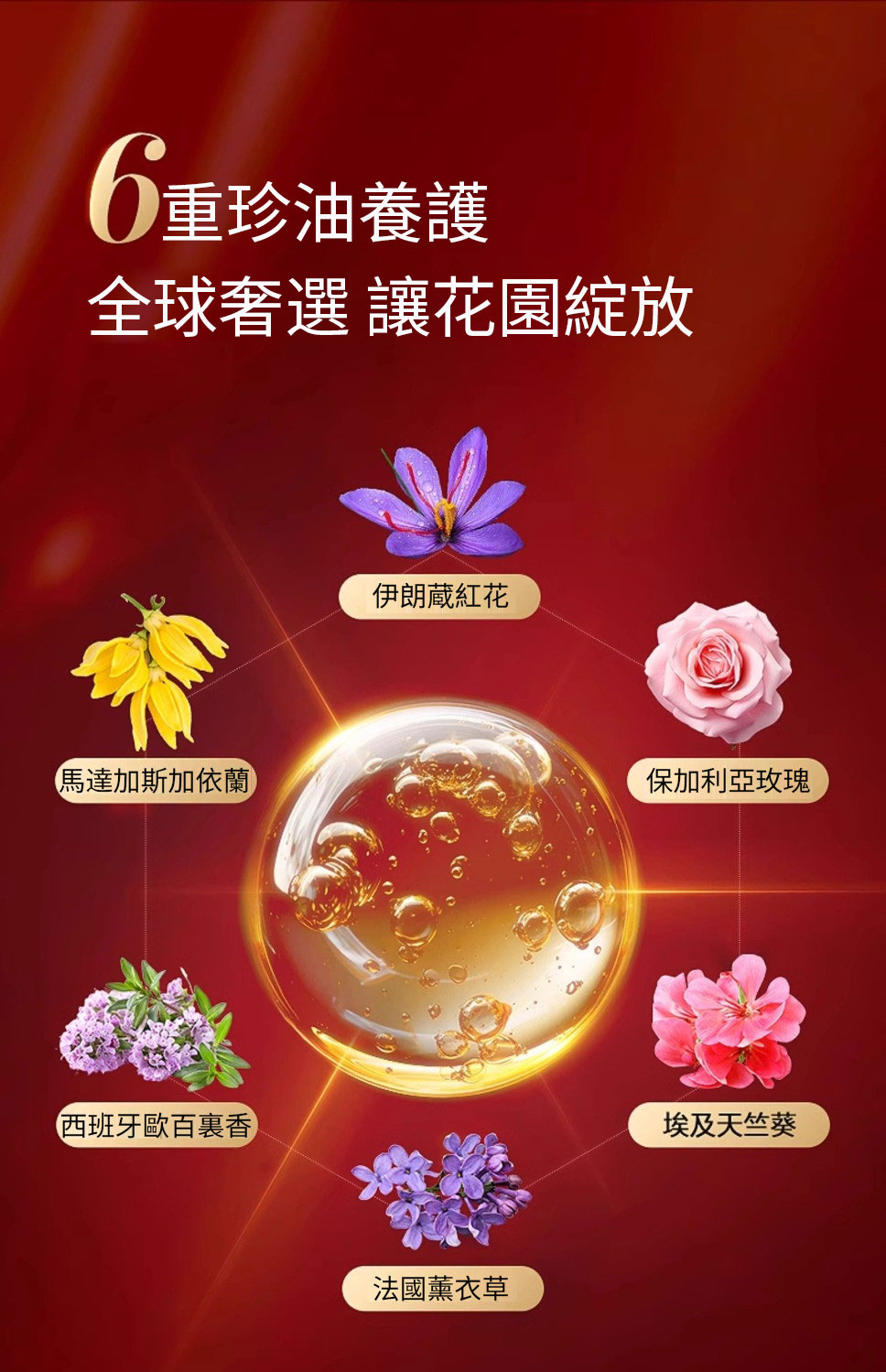 1754708420934710.jpg 972e35404103cf5d0d5abe772b06d510.jpg