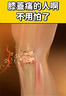 1758510482453188.gif 060f520fc9cd203bf90a14593c149040.gif